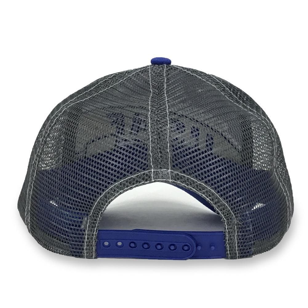 AIR FORCE MILITARY STRIPER HAT (ROYAL) 4